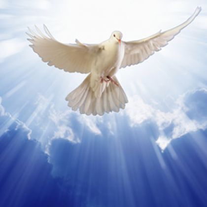 https://victorrockhillministries.com/vrm_messages/wp-content/uploads/2016/10/recieveing-the-holy-spirit-e1475610366766.jpg